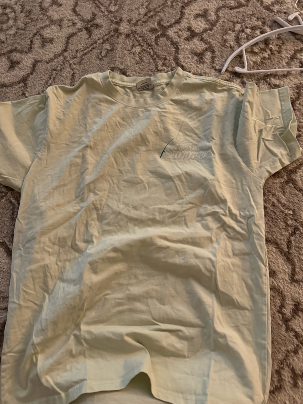 Living Fully Co Crewneck Tee in Light Green